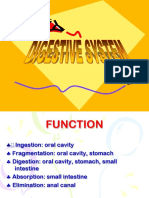 Sistem Pencernaan Makanan PDF