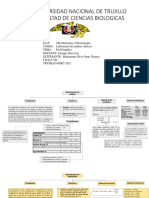 Laboratorio Perfil Lipidico