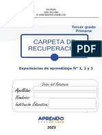 P3 Carpeta de Recuperacion PDF