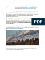 Naciones Unidas para El Medio Ambiente: Incendios Forestales