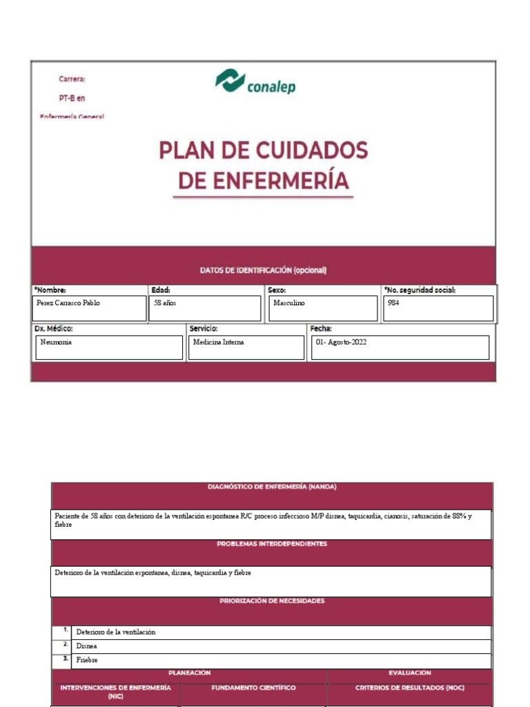 Plan de Cuidado 02 | PDF