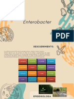 ENTEROBACTER SP