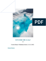 Studii de Caz PDF