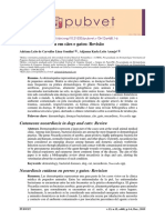 Nocardiose cutânea em cães e gatos Revisão.