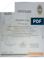 Certificado Escavadeira Hidraurica PDF