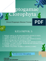 Chlorophyta-Fitoklamida