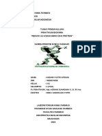 TP BIOKIMIA Reaksi UJji Asam Amino Dan Protein-228-Andhiny Astri Apriani-C12 PDF