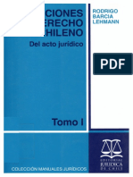 Lecciones de Derecho Civil Chileno. Del Acto Jurídico - Rodrigo Barcia Lehmann