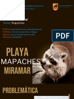 PROBLEMATICA Mapaches