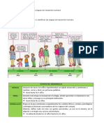 Guía Etapas Del Desarrollo Humano