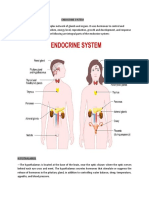 Endocrine System - Science