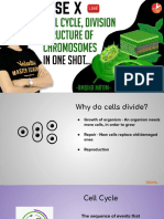 One+shot 1 Cell+Cycle