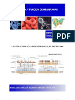 Estructura Y Funcion de Membranas Biologicas