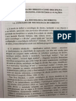 1.º CAPÍTULO SOCIOLOGIA DO DIREITO (1)