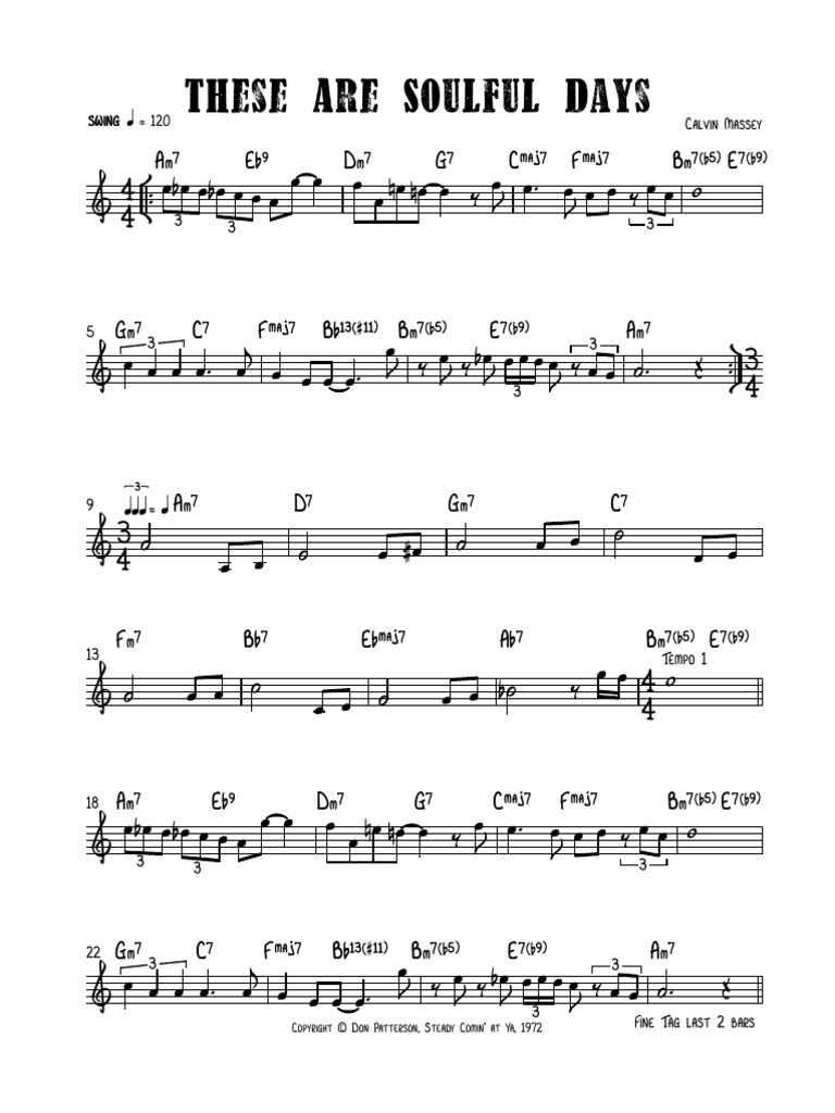 These Are Soulful Days PDF PDF