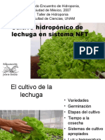 Lechuga en Sistema NFT - Antonio Gonzalez - Pps