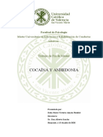 Cocaína Y Anhedonia: Trabajo de Fin de Máster