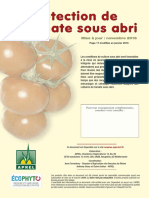 0fiche Protection Tomate 2015 (Janvier 2016)