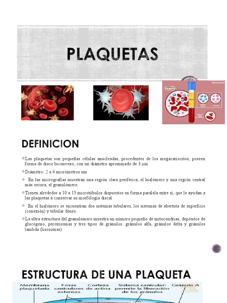 Definición y función de las plaquetas | PDF | Plaqueta | Coagulación