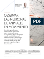 Observar Las Neuronas Animales en Movimiento PDF