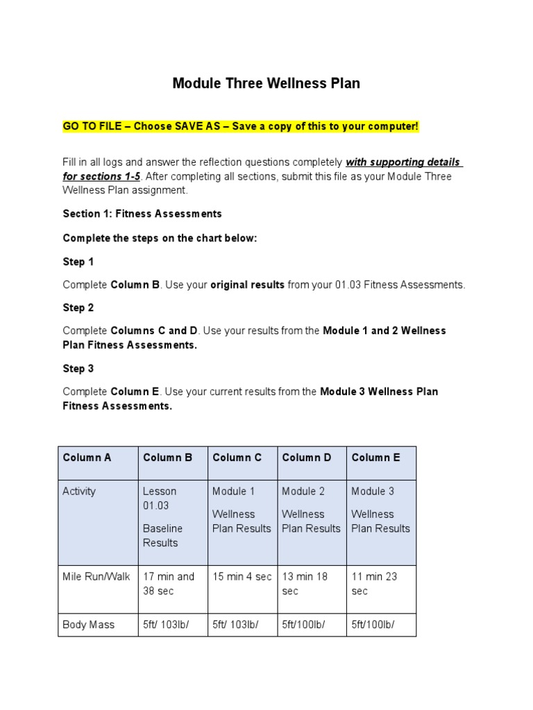 Module Three Wellness Plan | PDF | Physical Fitness | Physical Exercise