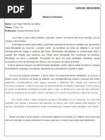 Modelo de relatório de aluno faltoso (1) | PDF | Pedagogia