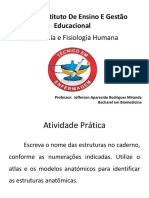 Anatomia e Fisiologia Humana - Estruturas Anatômicas