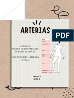 Esquema e Información Arterias