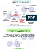 Compostos fenólicos: rotas biossintéticas e propriedades