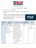 Planificación Sistema Digestivo