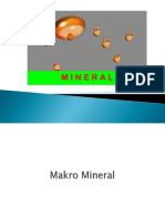 MINERAL DAN ENZIM