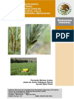 Manejoagroecologicoplagas Trigo Mich PDF