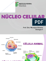 O núcleo celular controla as atividades da célula