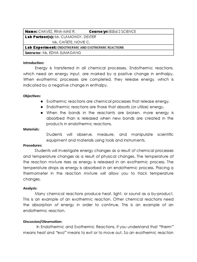 Lab Report - Endothermic and Exothermic Reactions | PDF | Chemical  Reactions | Heat