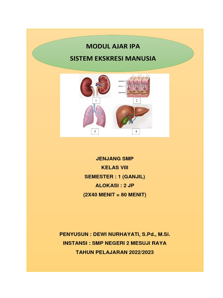 Modul ajar ipa sistem ekskresi manusia pdf