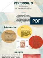 Periodonto - Equipo 1 PDF