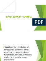 Chapter 2g - Respiratory System