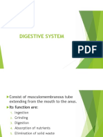 Chapter 2h - Digestive System