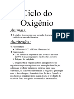 Ciclo Do Oxigênio