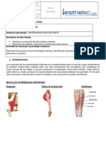 Mtdfor31 Guia Clase 8 Anatomia PDF