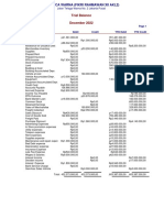 Trial Balance PDF