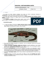 Os Répteis 7º Ano