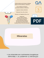 Presentación Nutrición Minerales Eq 1