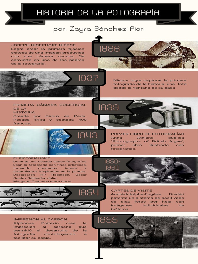 Evolución de la Fotografía en la Historia | PDF | Imagen | Visión