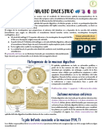 Desarrollo de Digestivo