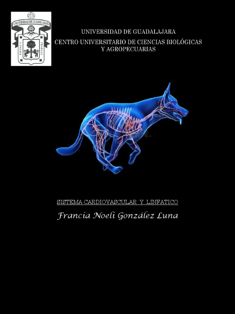 Sistema Cardiovascular Y Linfatico Pdf Pdf Sistema Linfático