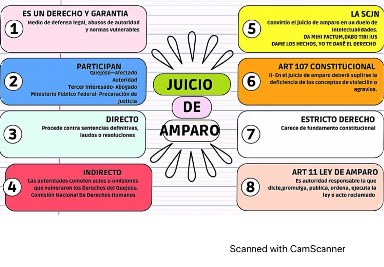 MAPA CONCEPTUAL Juicio de Amparo PDF
