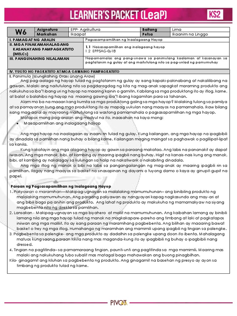 Q4 Elem AFA 5 Week6 PDF | PDF