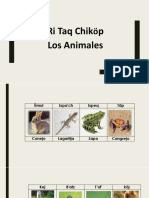 Ri Chikopi' - Los Animales