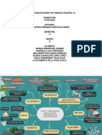 MAPA MENTAL ECOLOGIA 6to Semestre